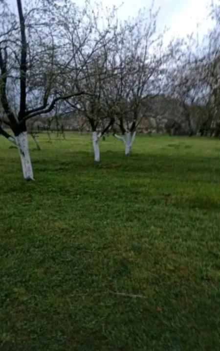 Prodaja, plac, 2421m², Gorica, Danilovgrad