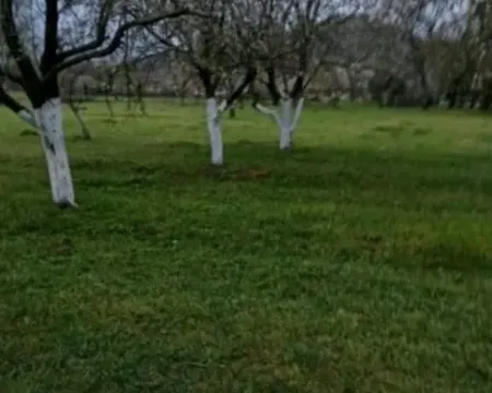 Prodaja, plac, 2421m², Gorica, Danilovgrad - image 3