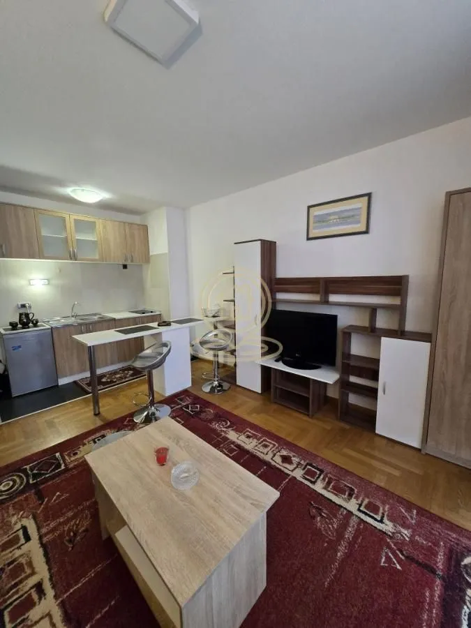 Izdavanje, jednosoban stan, 30m², Adamovićevo Naselje, Novi Sad Sve Podlokacije