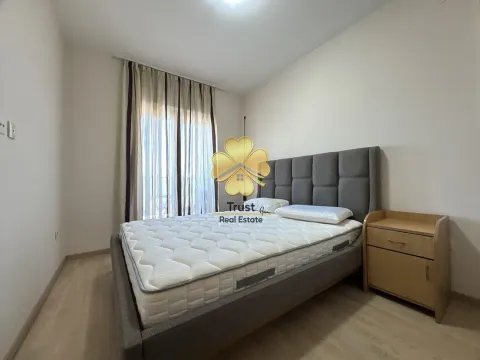 Izdavanje, jednosoban stan, 45m², City Kvart, Podgorica - image 11
