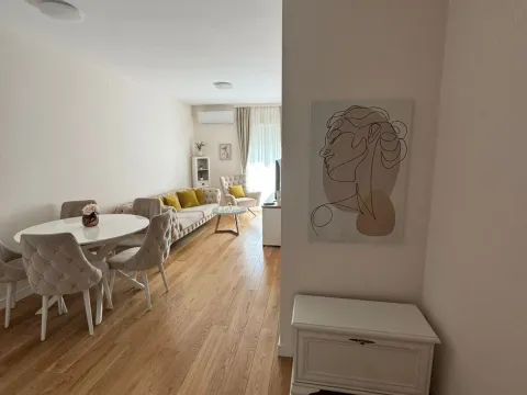 Izdavanje, jednosoban stan, 45m², Central Point, Podgorica - image 4