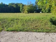 Prodaja, plac, 2881m², Begovina, Danilovgrad - image 6