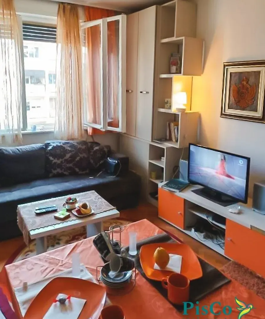 Izdavanje, jednosoban stan, 45m², Preko Morače, Podgorica