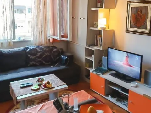 Izdavanje, jednosoban stan, 45m², Preko Morače, Podgorica - image 1