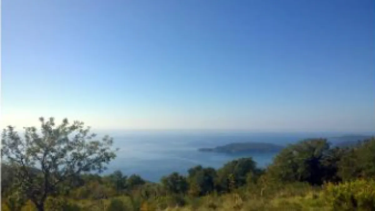 Prodaja, plac, 2500m², Kuljače, Budva