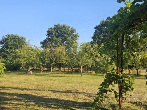 Prodaja, kuća, 220m², Martinići, Danilovgrad - image 8