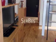 Rent, one bedroom apartment, 33m², Bulevar Oslobodjenja, Novi Sad Sve Podlokacije - image 7