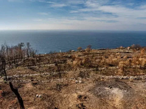 Prodaja, plac, 2527m², Budva, Crna Gora - image 13