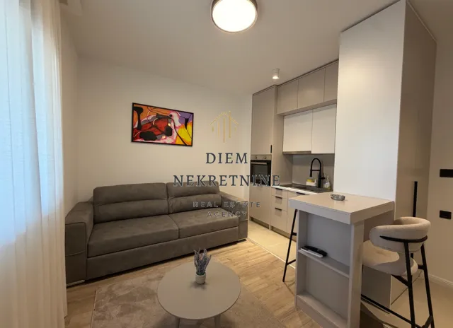 Modern living room with a sofa and kitchenette.