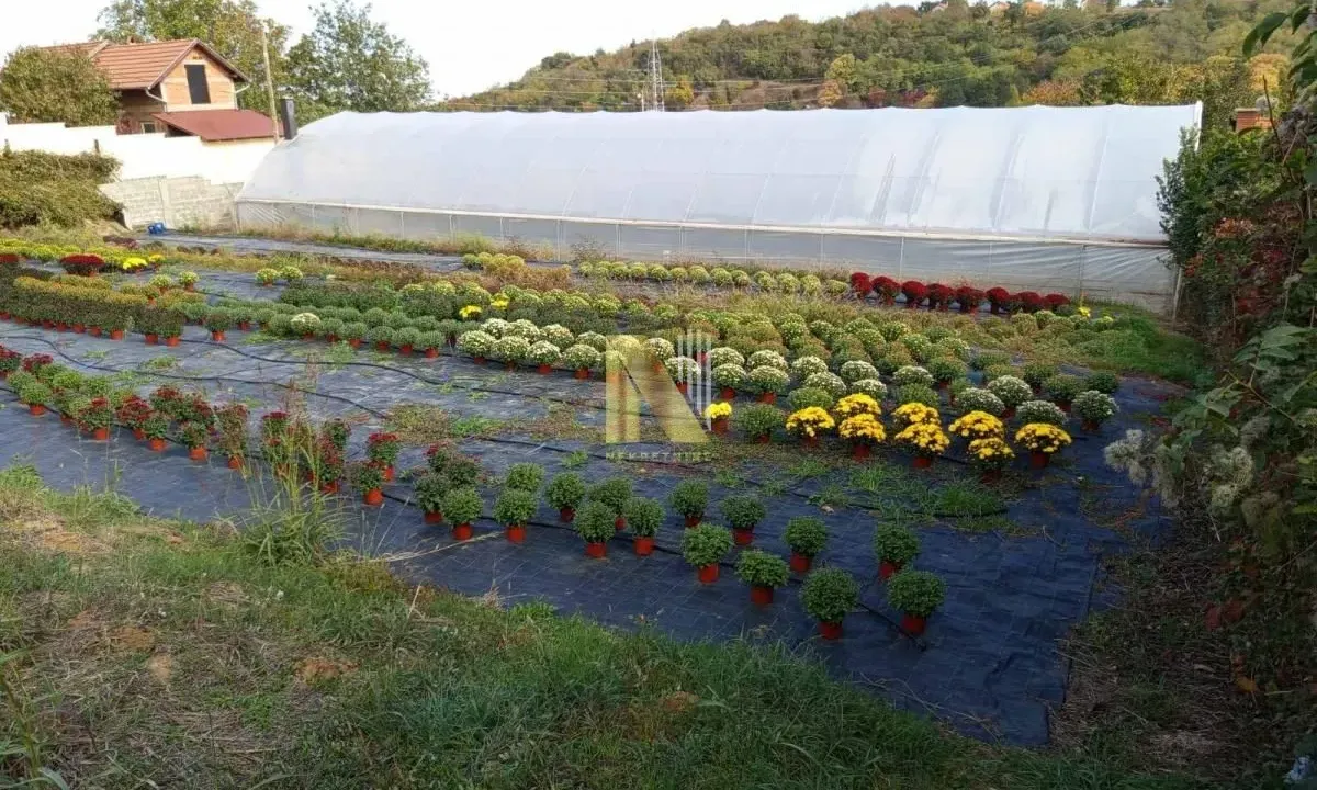 Prodaja, plac, 2200m², Sremska Kamenica, Petrovaradin