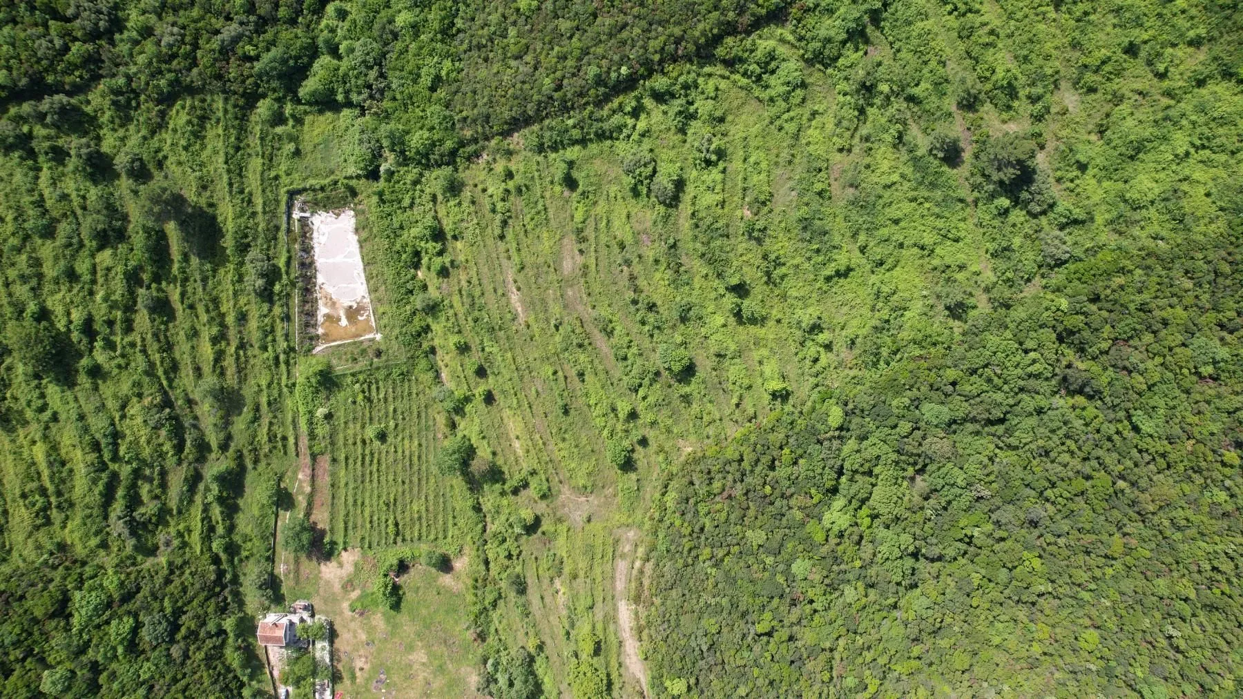 Prodaja, plac, 83000m², Radanovići, Kotor