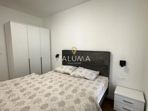 Rent, one bedroom apartment, 48m², Stari Aerodrom, Podgorica - image 5