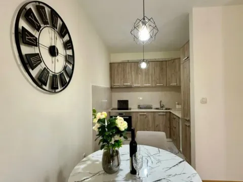 Rent, two bedroom apartment, 57m², Vezirov Most, Podgorica - image 9