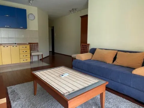 Prodaja, jednosoban stan, 43m², Budva, Crna Gora - image 5