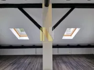 Izdavanje, poslovni prostor, 550m², Adamovićevo Naselje, Novi Sad Sve Podlokacije - image 7