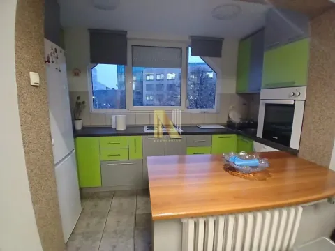 Izdavanje, dvosoban stan, 53m², Sajmište, Novi Sad - image 3