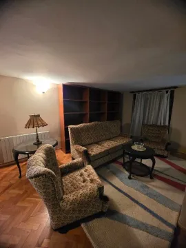 Living room furnished with seating set, bookshelves, and a rug. - image 9