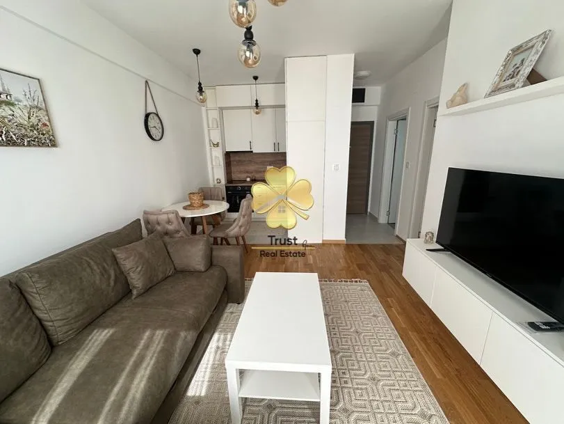 Rent, one bedroom apartment, 40m², Zabjelo, Podgorica