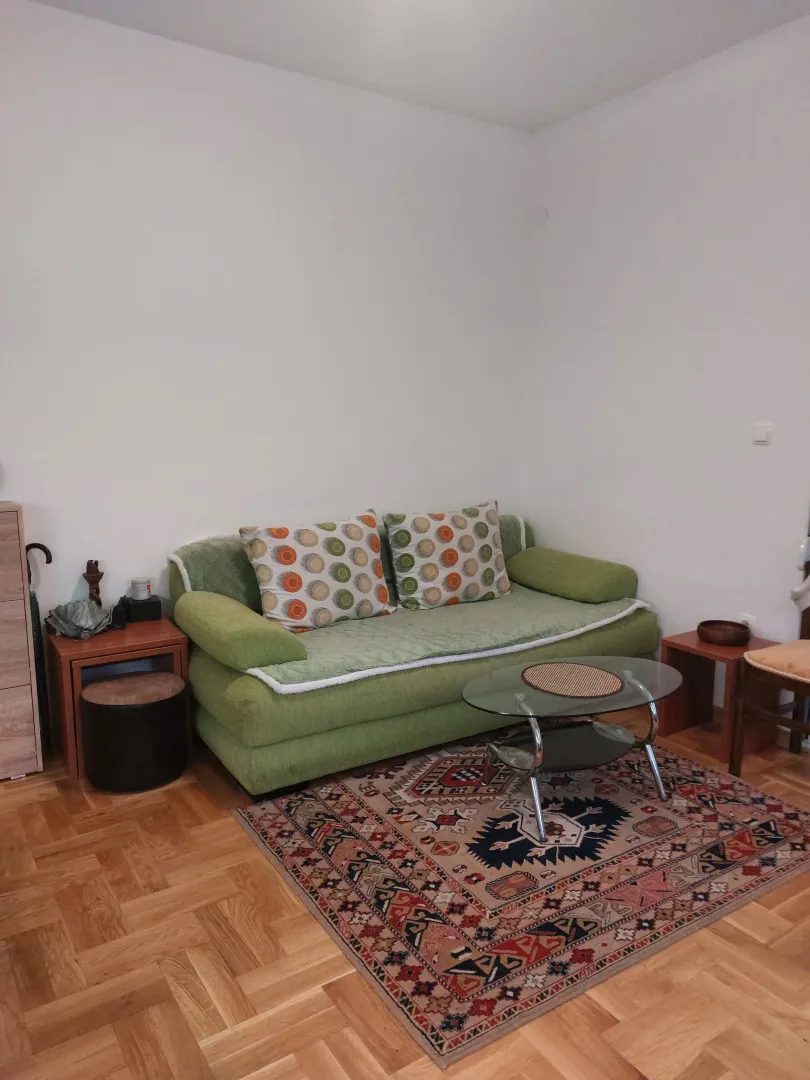 Living room with a green sofa and a rug.
