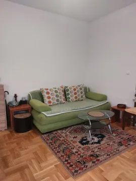 Living room with a green sofa and a rug. - image 6