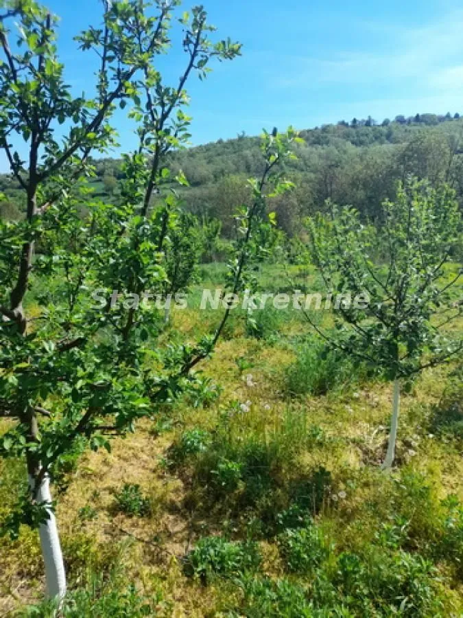 Prodaja, kuća, 57m², Sremski Karlovci, Novi Sad