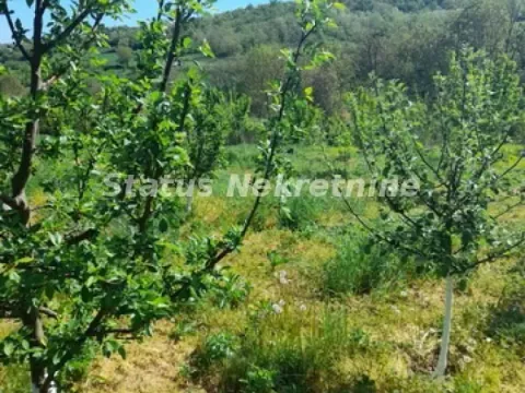 Prodaja, kuća, 57m², Sremski Karlovci, Novi Sad - image 10