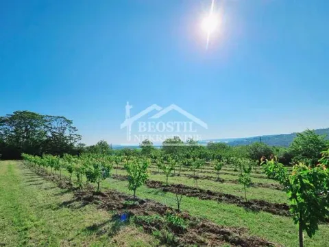 Sale, land lot, 8900m², Grocka, Beograd - image 1