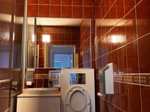 Izdavanje, poslovni prostor, 500m², Krnjaca, Palilula Sve Podlokacije - image 10