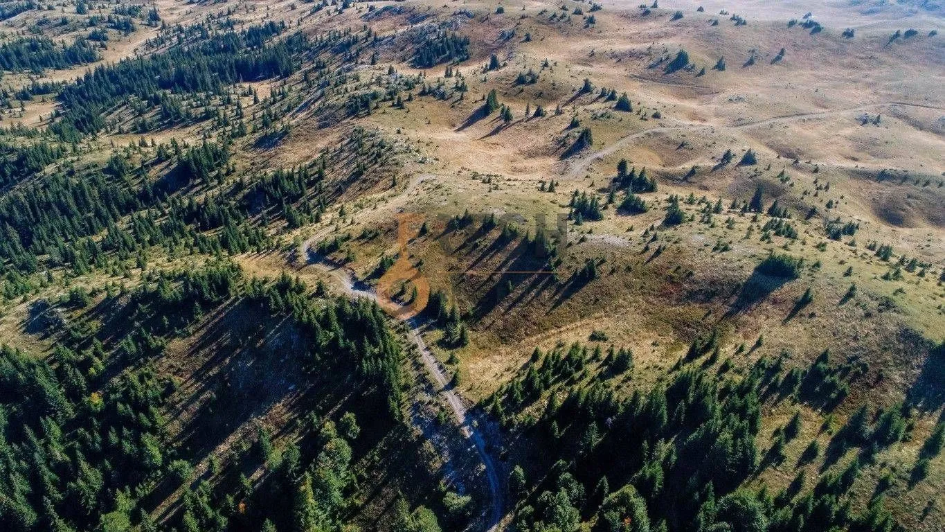 Prodaja, plac, 184880m², Žabljak, Crna Gora