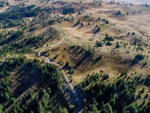 Prodaja, plac, 184880m², Žabljak, Crna Gora - image 5