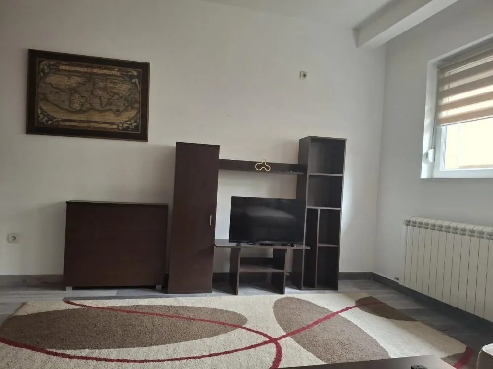 Living room with dark wooden furniture, television, and a rug.