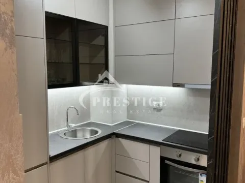 Izdavanje, jednosoban stan, 40m², Central Point, Podgorica - image 2