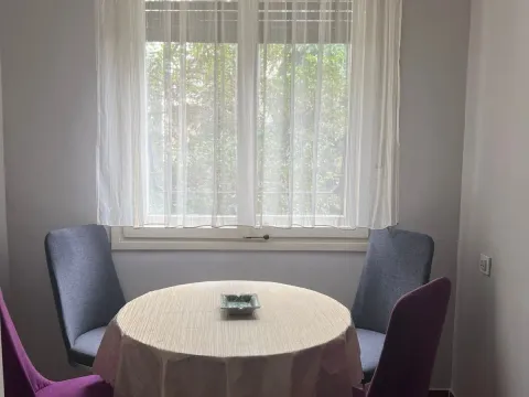 Izdavanje, jednosoban stan, 47m², Preko Morače, Podgorica - image 3