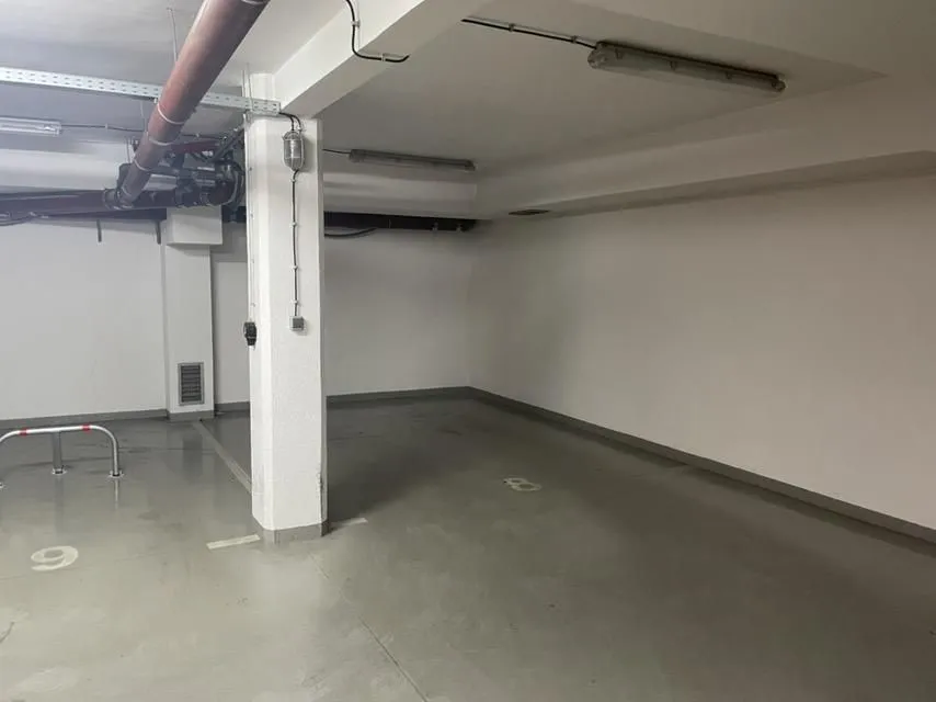 Izdavanje, četvorosoban stan, 118m², Vračar Hram, Vračar Sve Podlokacije