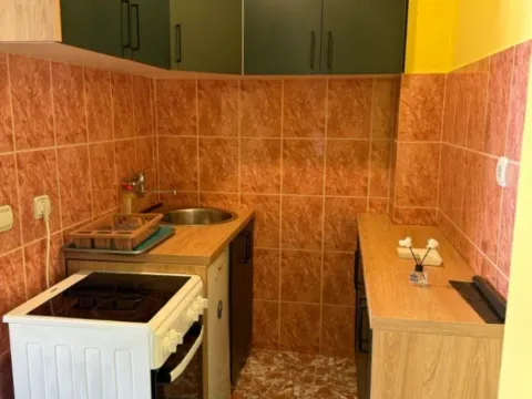 Rent, one bedroom apartment, 29m², Velji Vinogradi, Budva - image 3