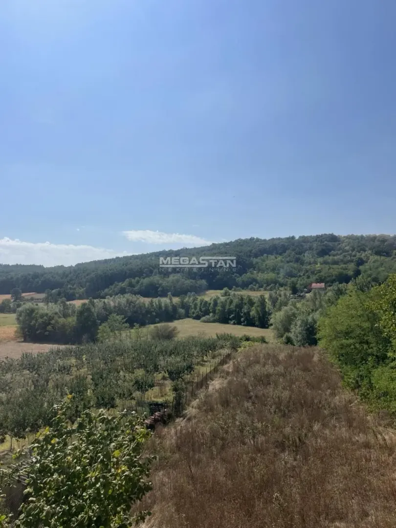 Pogled na šumoviti pejzaž i prirodu sa imanja.