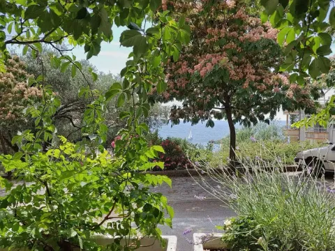 Rent, one bedroom apartment, 60m², Sveti Stefan, Budva - image 13