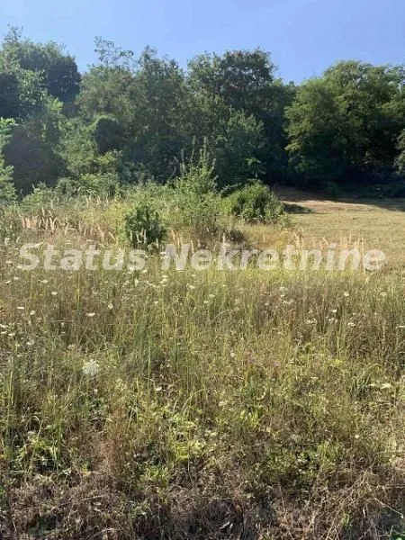 Prodaja, plac, 1673m², Sremska Kamenica, Petrovaradin