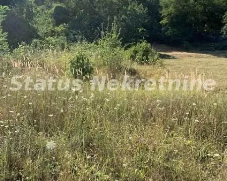 Prodaja, plac, 1673m², Sremska Kamenica, Petrovaradin - image 6