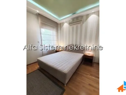 Izdavanje, dvosoban stan, 50m², Vračar Hram, Vračar Sve Podlokacije - image 13