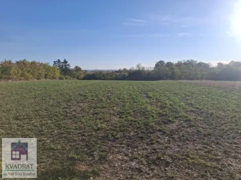 Pogled na prostrano zemljište i zelenilo. - image 2