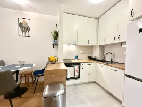 Prodaja, jednosoban stan, 40m², Central Point, Podgorica - image 5