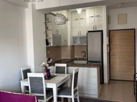 Izdavanje, jednosoban stan, 43m², Zabjelo, Podgorica - image 11
