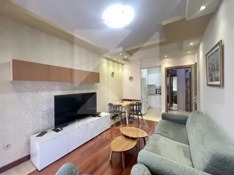 Izdavanje, jednosoban stan, 43m², Centar, Podgorica - image 2