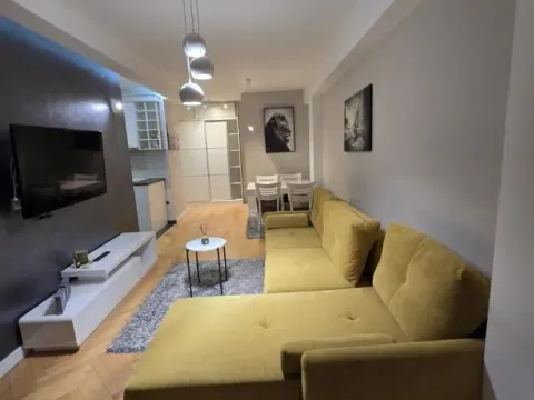 Izdavanje, dvosoban stan, 50m², Bulevar Oslobodjenja, Novi Sad Sve Podlokacije - image 2