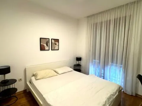 Izdavanje, jednosoban stan, 45m², Stara Varoš, Podgorica - image 13
