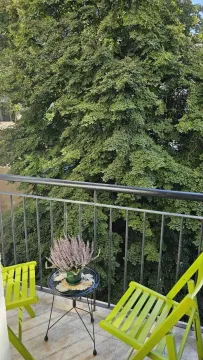 Balcony with green chairs, a small table, and a view of tree canopies. - image 5