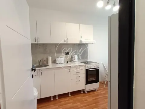 Izdavanje, dvosoban stan, 59m², Savski Venac, Beograd - image 5
