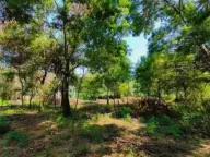 Prodaja, plac, 1860m², Zeta, Podgorica - image 3