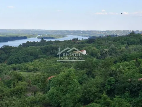 Prodaja, plac, 2900m², Grocka, Beograd - image 3